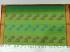 SAREES COIMBATORE WITH BLOUSE